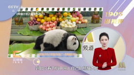 91短视频app下载安装无限看丝瓜山东座